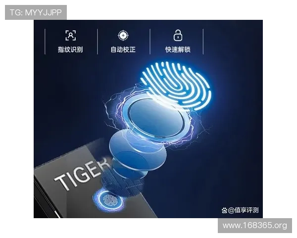 虎牌保险柜:家庭与办公室安全的理想选择 虎牌保险柜:家庭与办公室安全的理想选择